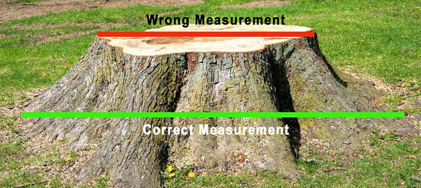 Measuring a stump