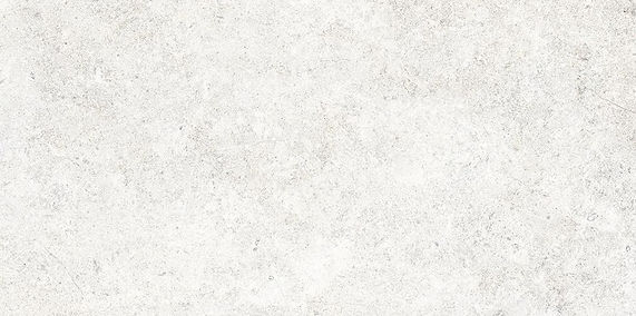 Coquille Perle_edited.jpg