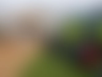 Regen Sonntag? Na und?