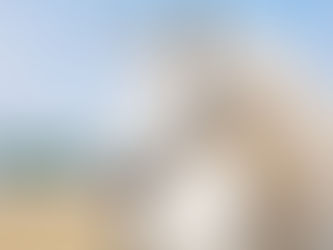 Think Like a Unicorn