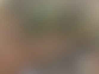 A Splash in the Creek