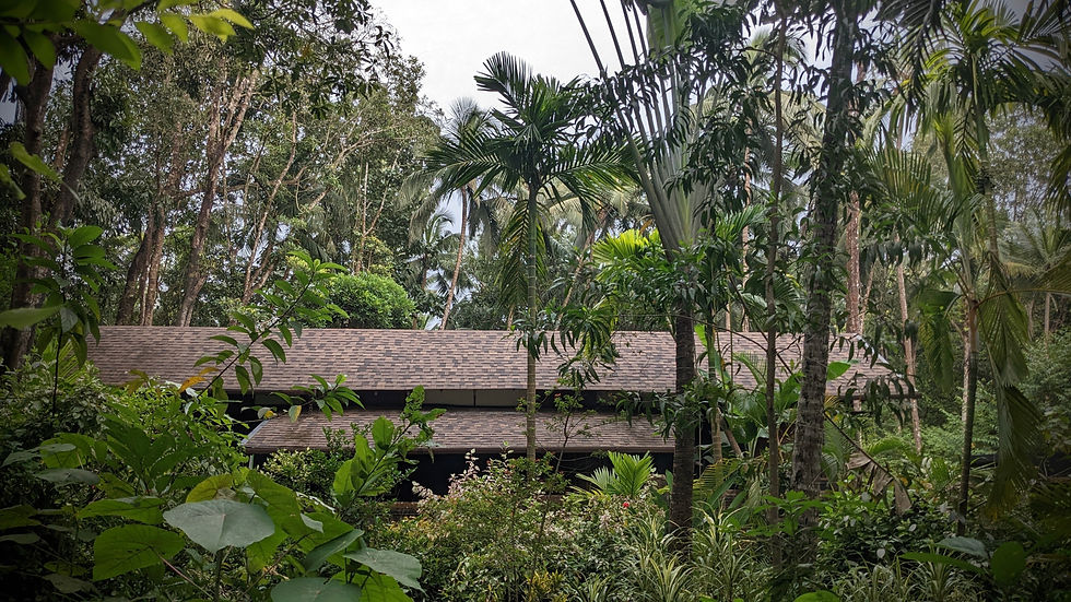 4_ASSAGAO cover colour.jpg