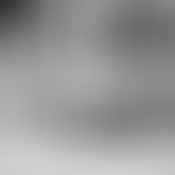 Roman Ondak inventa la màquina del temps