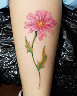 34829409_2245827412101022_80230266372368