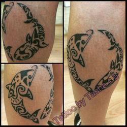 11143680_1138180089532432_74404444115555