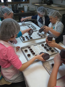 Oh Mi Organics Chocolate Party St