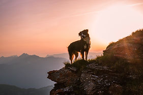 sonnenuntergang am felsen.jpg