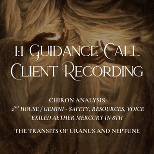 Guidance Call - Client Recording #20