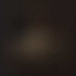 Black Moon Lilith in Houses