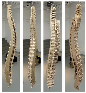 Spine