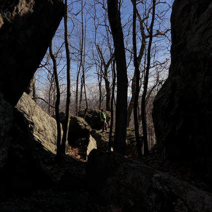 Opt Outside: FLT's Annual Black Friday Hike