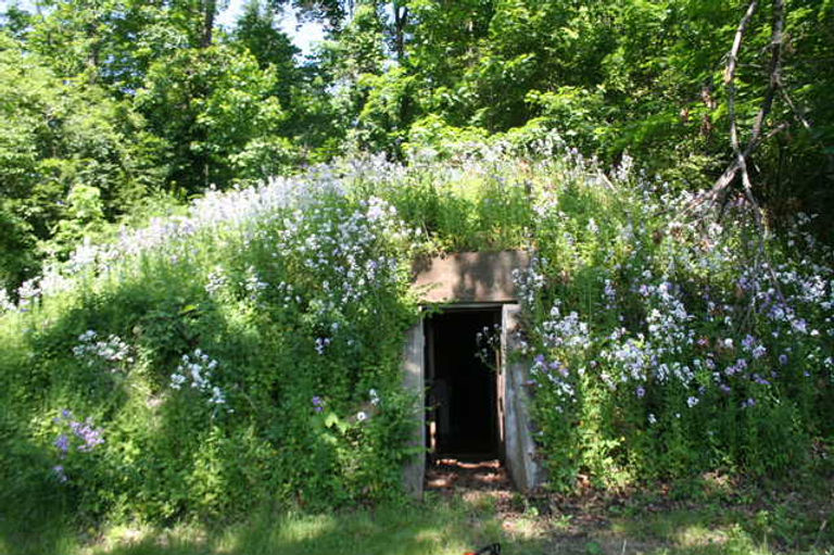 MSNT_Milk Cellar_Spring.jpeg