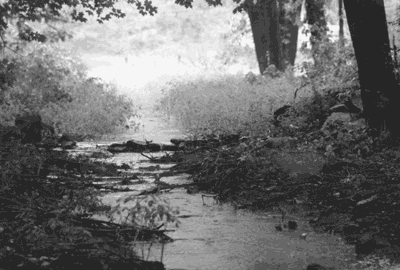 DOUGLASSMOUNTPARCEL-1.gif