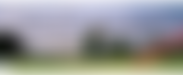 Government & Legislative Updates for the week of May 11th, 2020