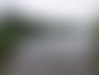 Keeping Washington Beautiful