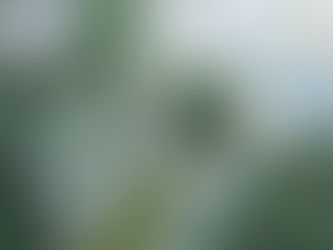 City of Issaquah and MacDonald-Miller Launch Energy Efficiency Program for buildings in Issaquah