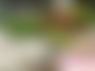 Announcing Issaquah's "Searching for Salmon" Event!