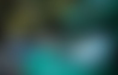 Trailhead Direct is Back in Town