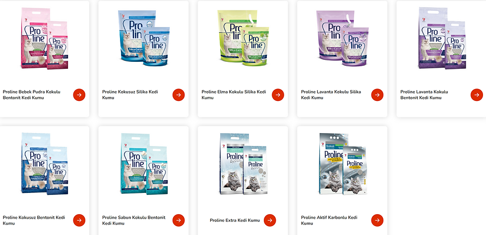 Ekran görüntüsü 2025-10-29 113201.png