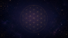 ChatGPT Image May 30, 2026, 09_29_37 AM.png