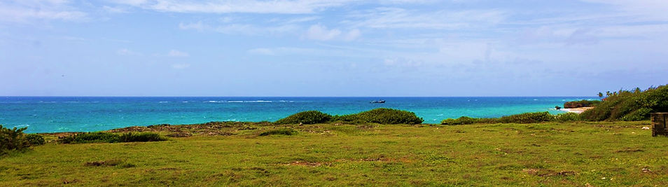 Wellhouse Oceanfront Image enhanced.jpg