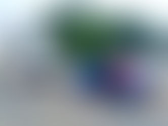 EDICIÓN 2441, MENOR PERDIÓ LA VIDA POR UNA DESCARGA ELÉCTRICA.