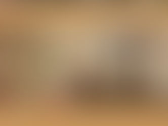 ▶️ Conoce las actividades realizadas #EnComisiones de la LXVII Legislatura.