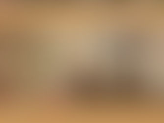 ▶️ Conoce las actividades realizadas #EnComisiones de la LXVII Legislatura.