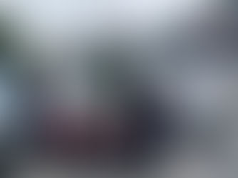 EDICIÓN 2434, ATROPELLARON A UN MASCULINO.