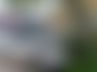 EDICIÓN 2425, DAMA ESTRELLÓ CAMIONETA CONTRA ÁRBOL DE ALMENDRA