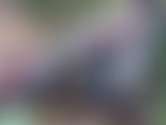 EDICIÓN 2438, MOTOCICLISTA MURIÓ TRAS ACCIDENTE EN LOS PRADOS.