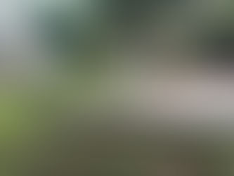 El Gobierno de Minatitlán continúa con jornadas de limpieza