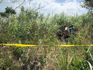 EDICIÓN 2441, MATARON AL ‘ALEXANDER