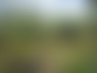 EDICIÓN 2441, MATARON AL ‘ALEXANDER