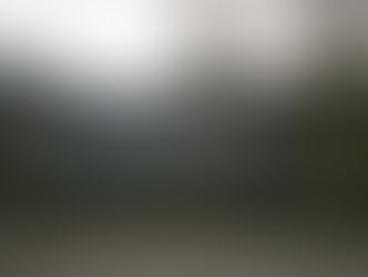 Conagua atiende contingencia sobre la mortandad de peces en la zona Sur de Tamaulipas y norte de Veracruz.