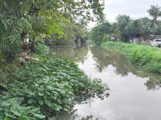 EDICIÓN 2427, CADÁVER FLOTABA EN UN CANAL DE AGUAS NEGRAS.