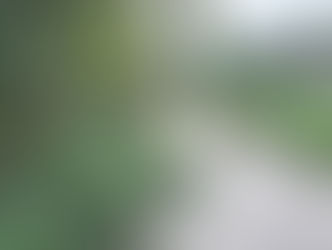 EDICIÓN 2427, CADÁVER FLOTABA EN UN CANAL DE AGUAS NEGRAS.