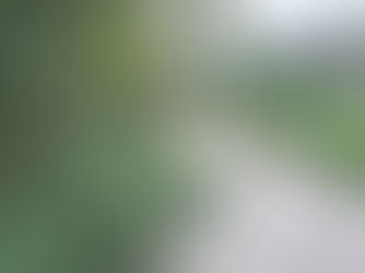 EDICIÓN 2427, CADÁVER FLOTABA EN UN CANAL DE AGUAS NEGRAS.