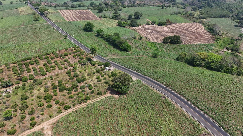 La Cuarta Transformación llega con hechos a Atoyac: Rocío Nahle