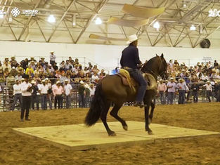 🎡🐂 ¡Gran Inauguración de la Feria Ganadera Minatitlán 2026!