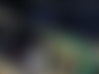 EDICIÓN 2435, FUEGO CONSUMIÓ UNA PALAPA EN ZARAGOZA.