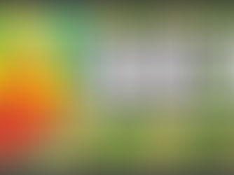 EDICIÓN 2425, "LA VOZ QUE VUELA”, LA MAGIA DE LA NAVIDAD.