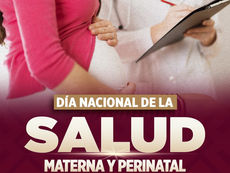 9 de mayo | Día Nacional de la Salud Materna y Perinatal