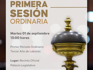 Primera Sesión Ordinaria