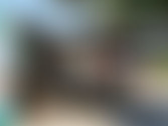 EDICIÓN 2436, SE QUEMÓ UN ESTANQUILLO.  