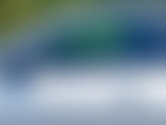 EDICIÓN 2435, “RAFAGUEARON” UN AUTO ABANDONADO.