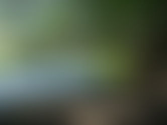 Inicia Ayuntamiento de Veracruz acciones permanentes para proteger su sistema laguna.