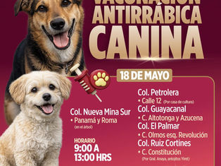 ¡Vacúnalos, protégelos y quiérelos!
