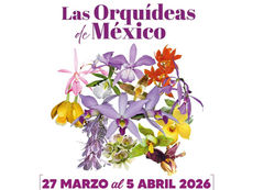 Coatepec celebra su riqueza natural con el XVII Festival Internacional de la Orquídea