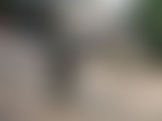 EDICION 2428, APARECIÓ CADÁVER EN UN LOTE BALDÍO.